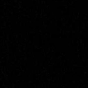 Meet your Posher, Lilianna